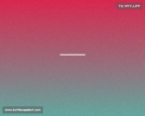 法甲赛场上的拉美之星:技术与激情的完美融合